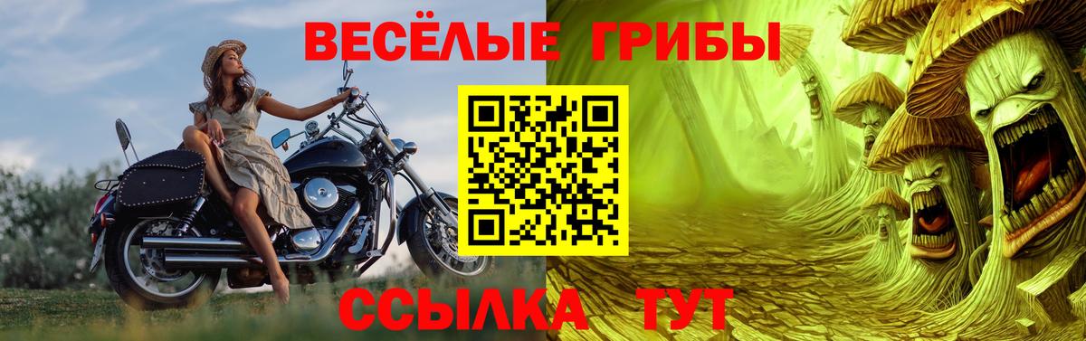 Псилоцибиновые грибы GOLDEN TEACHER  Галлюциногенные грибы Psilocybine cubensis  купить наркотик  Каменск-Шахтинский  Вход с VPN 