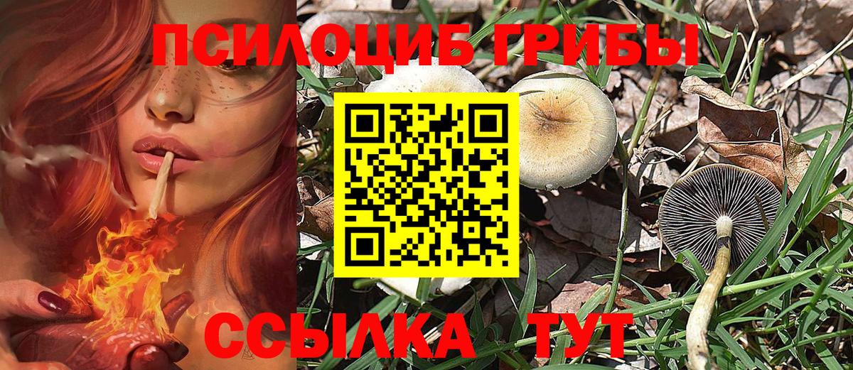 Галлюциногенные грибы Magic Shrooms Каменск-Шахтинский